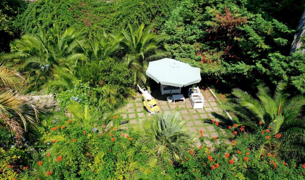 vista aerea su una tenda in giardino di B&B Il Giardino di Villa Anna a Trecase