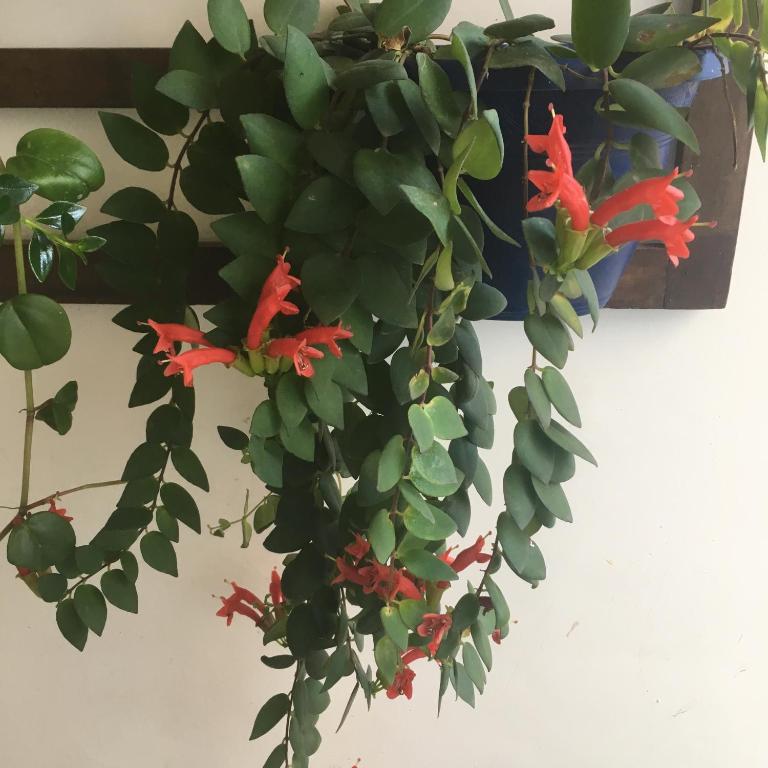  Pousada Bertioga