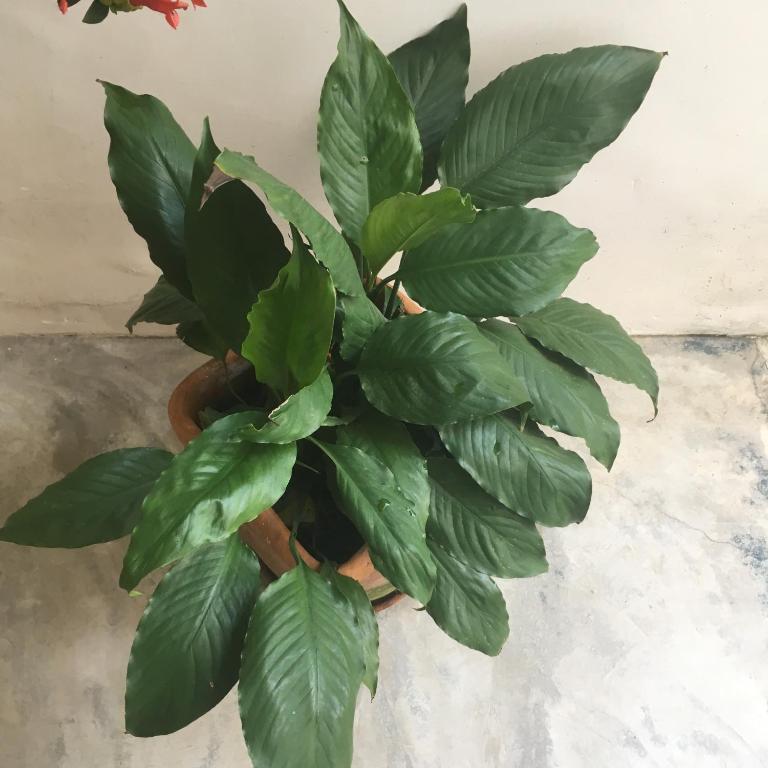  Pousada Bertioga