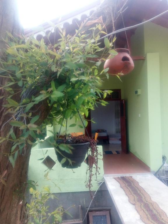 Zahrada ubytování Sudumal Cottage