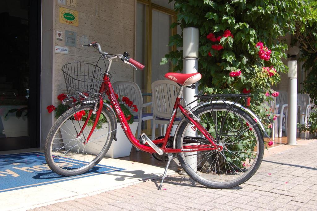 Jazda na bicykli v okolí ubytovania Hotel Wally