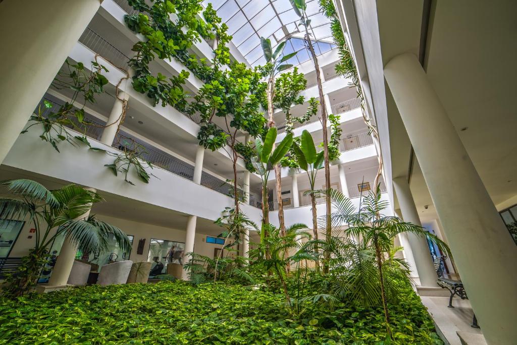 Vila Petra - Resim 8