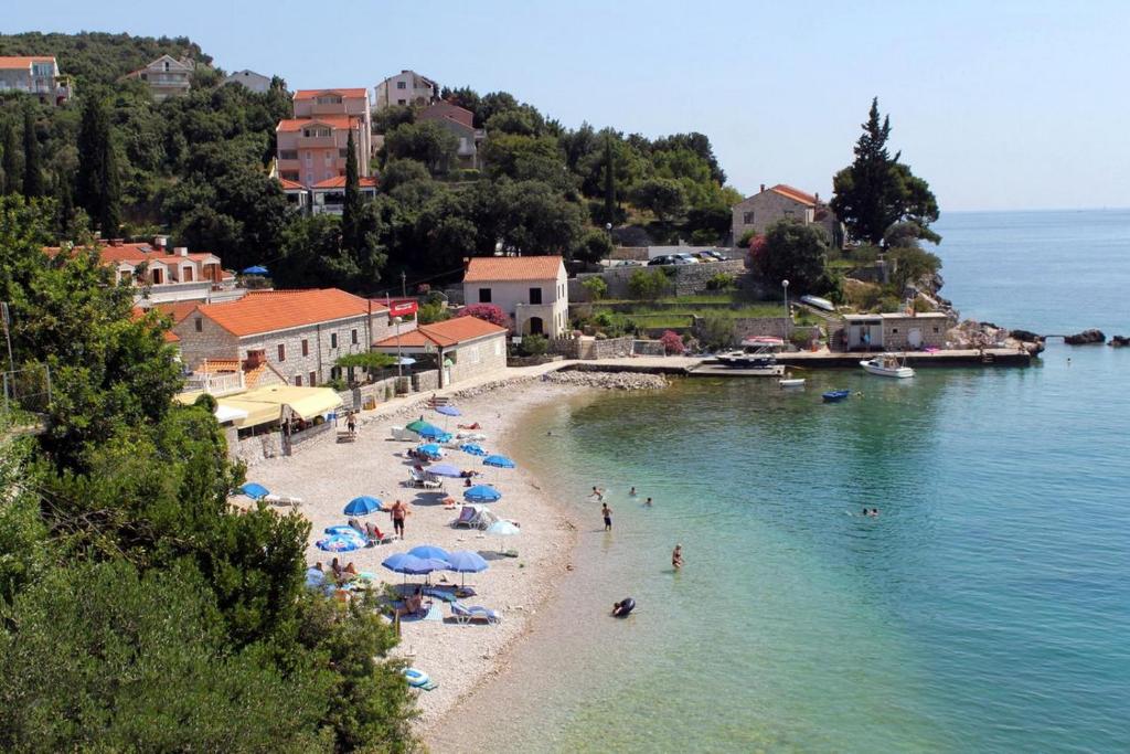 Príroda v okolí apartmánu
