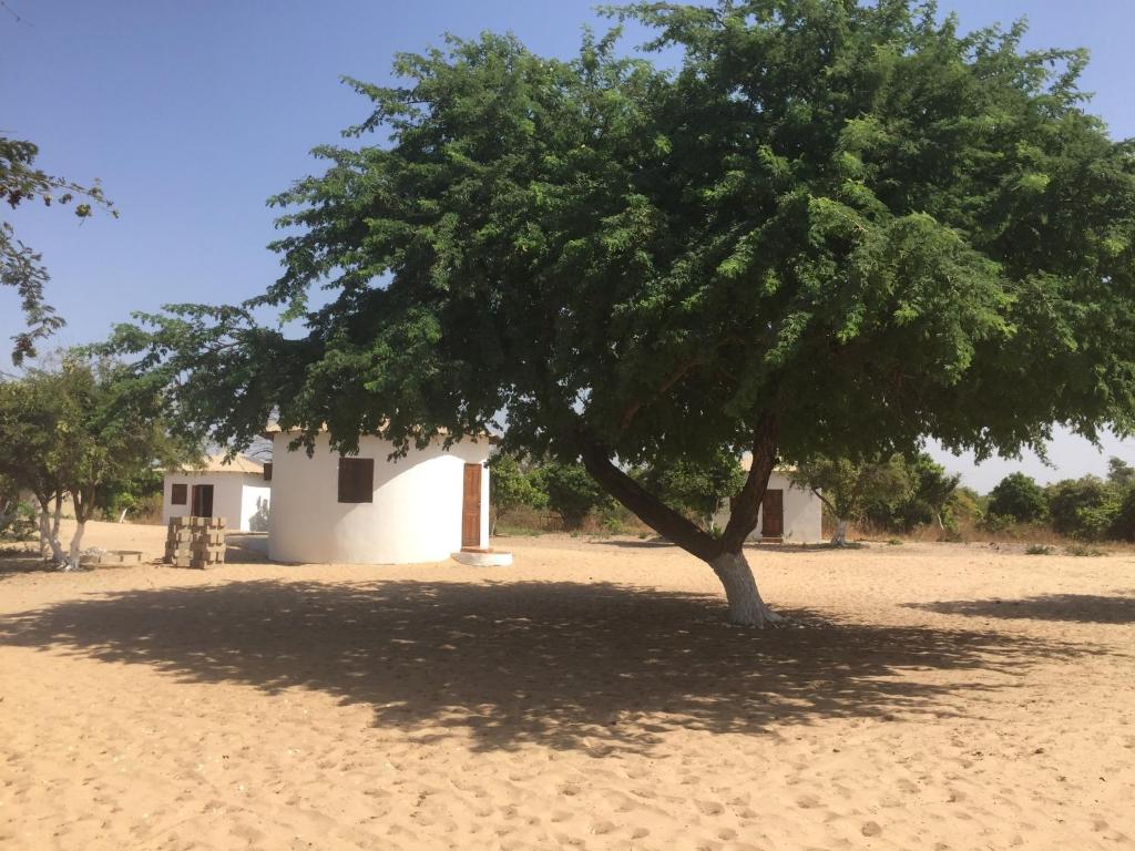 a tree in the middle of a desert with a building at Feel Free Lodge in Jinack Island