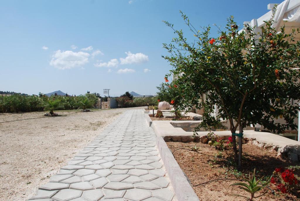 Zahrada ubytování Villa Kampos Naousa-Marpisa