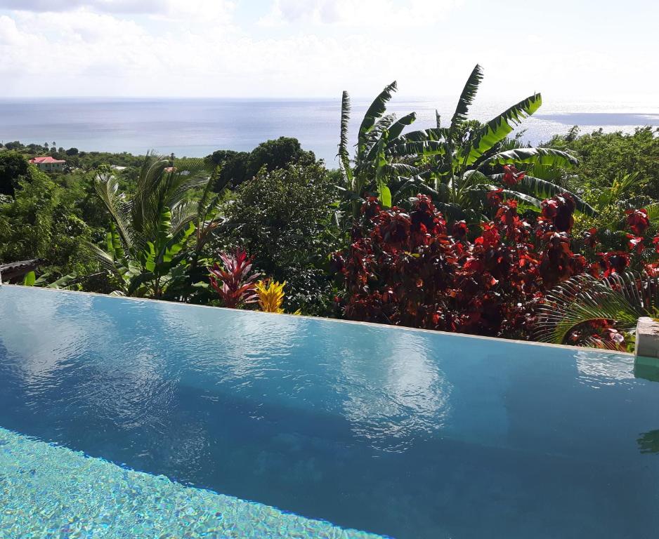 a blue swimming pool with a view of the ocean at Kaye Mango in Soufrière