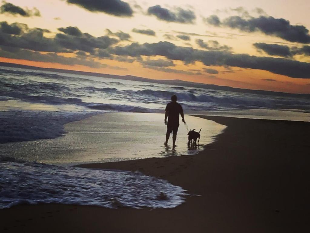 um homem a passear um cão na praia em Glentana Silver Moon Self Catering em Glentana