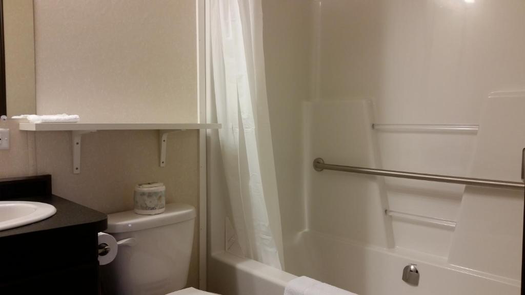 a bathroom with a shower and a toilet and a sink at Bear's Den Lodge in Shaunavon