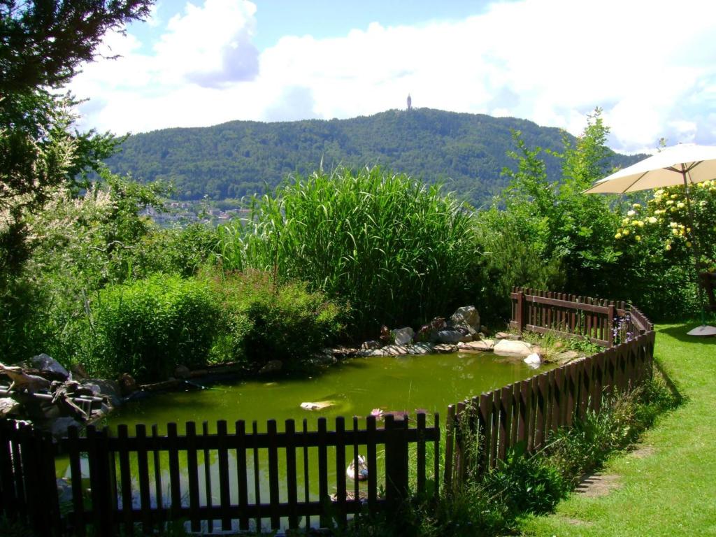 Naturlandschaft in der Nähe des Bed & Breakfasts