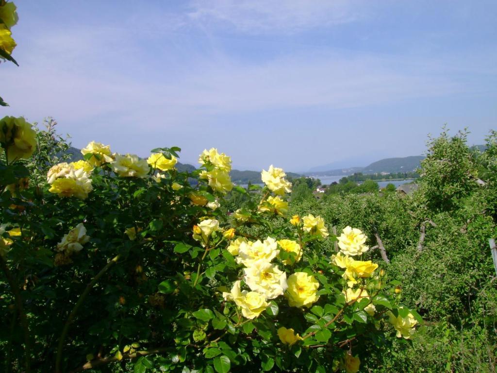 Naturlandschaft in der Nähe des Bed & Breakfasts