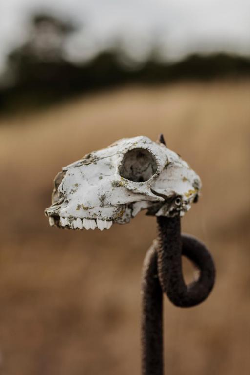 Fotografie z fotogalerie ubytování Fårösunds Fästning v destinaci Fårösund