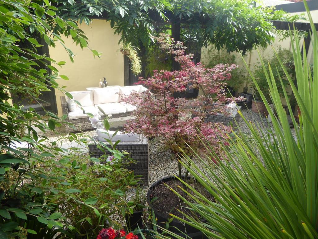 Giardino di Hazelwood Mapua
