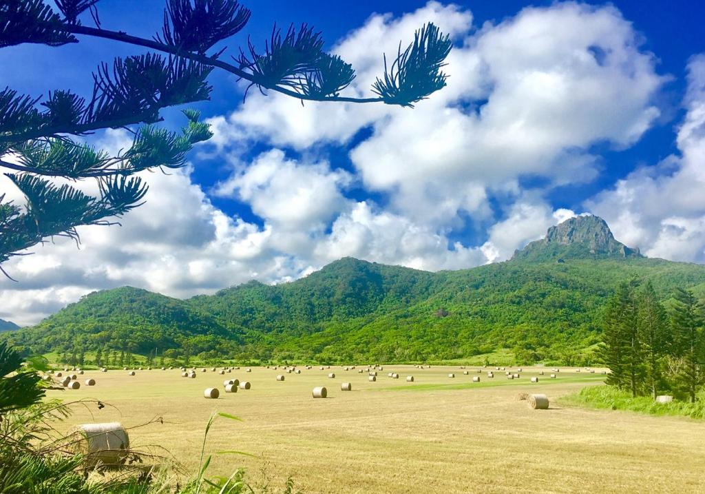 Un paisaje natural cerca de la habitación en casa particular