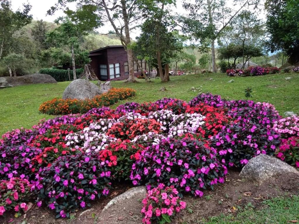 Zahrada ubytování Spring Garden