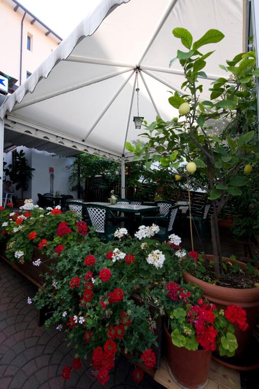 Zahrada ubytování Albergo Stella