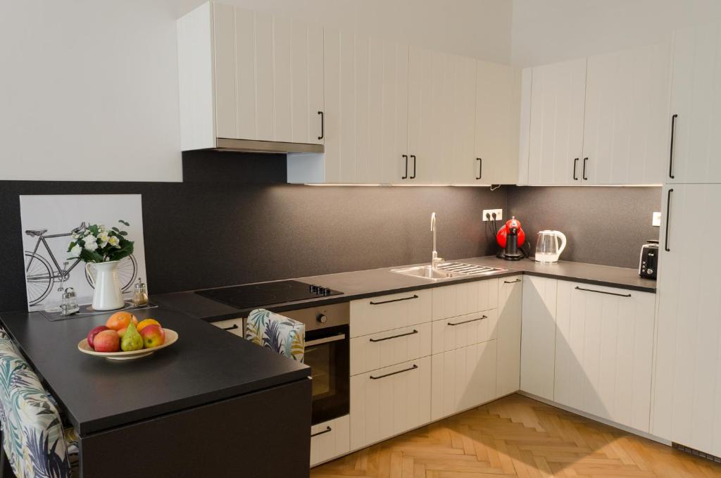 Kuchyň nebo kuchyňský kout v ubytování Oltec Apartment Brno