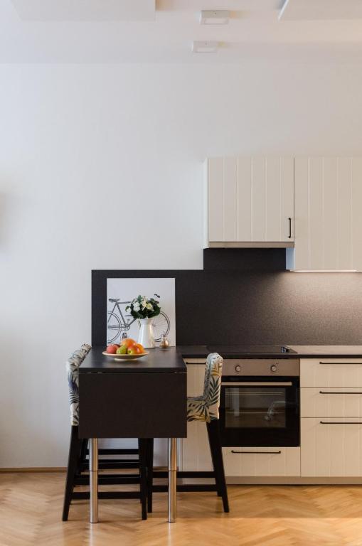 Kuchyň nebo kuchyňský kout v ubytování Oltec Apartment Brno