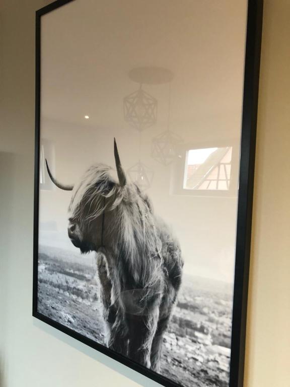 Zvířata v prázdninového domu nebo okolí