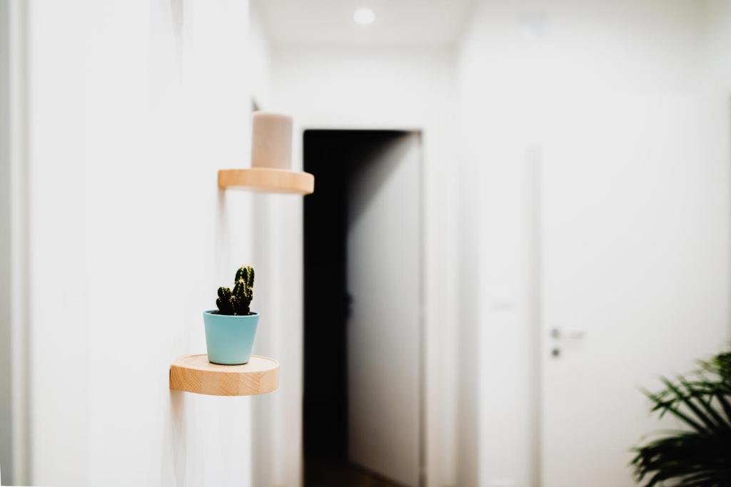 Kép La Boutique del Vento - Esclusivo in pieno centro szállásáról Triesztben a galériában
