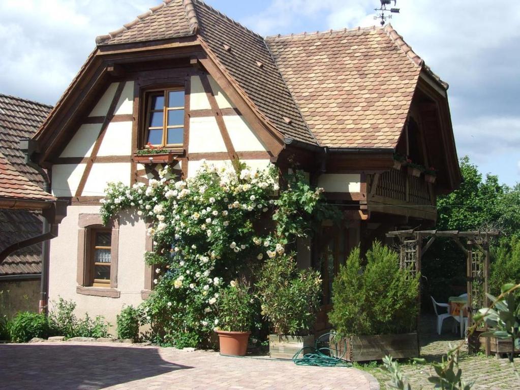 Triembach-au-ValにあるGîte Les Cerisiersの屋根の家