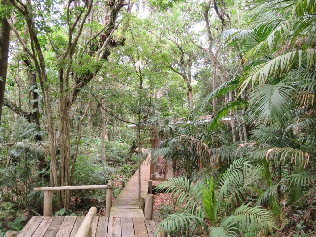  Suite Ibiraquera Master