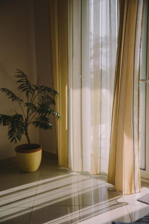 Fotografie z fotogalerie ubytování Apartments Jasna v destinaci Podstrana