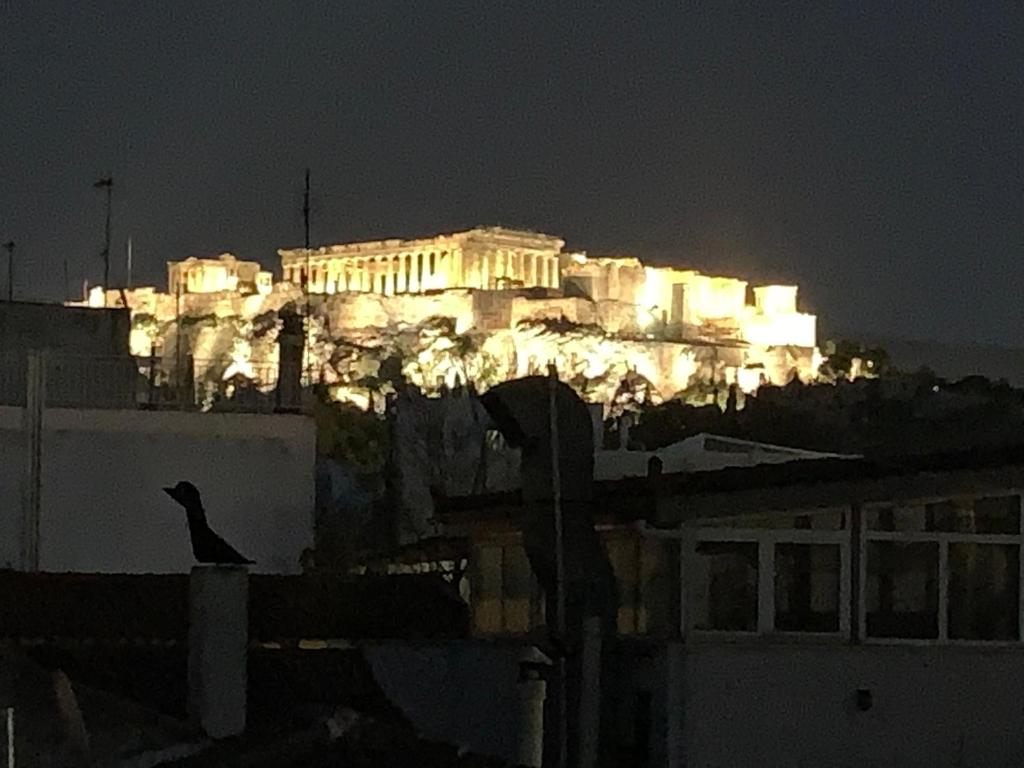 a bird sitting on a building at night with the acropolis at Thiseio Big Apartment in Athens