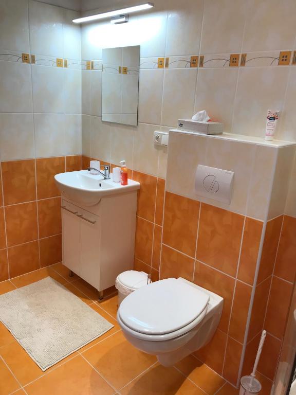 a bathroom with a toilet and a sink at Apartmány Dagmar in Mariánské Lázně