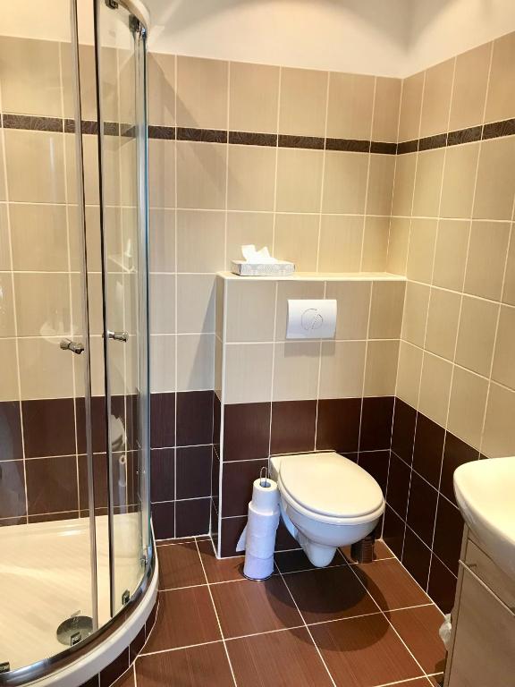 a bathroom with a toilet and a shower at Apartmány Dagmar in Mariánské Lázně
