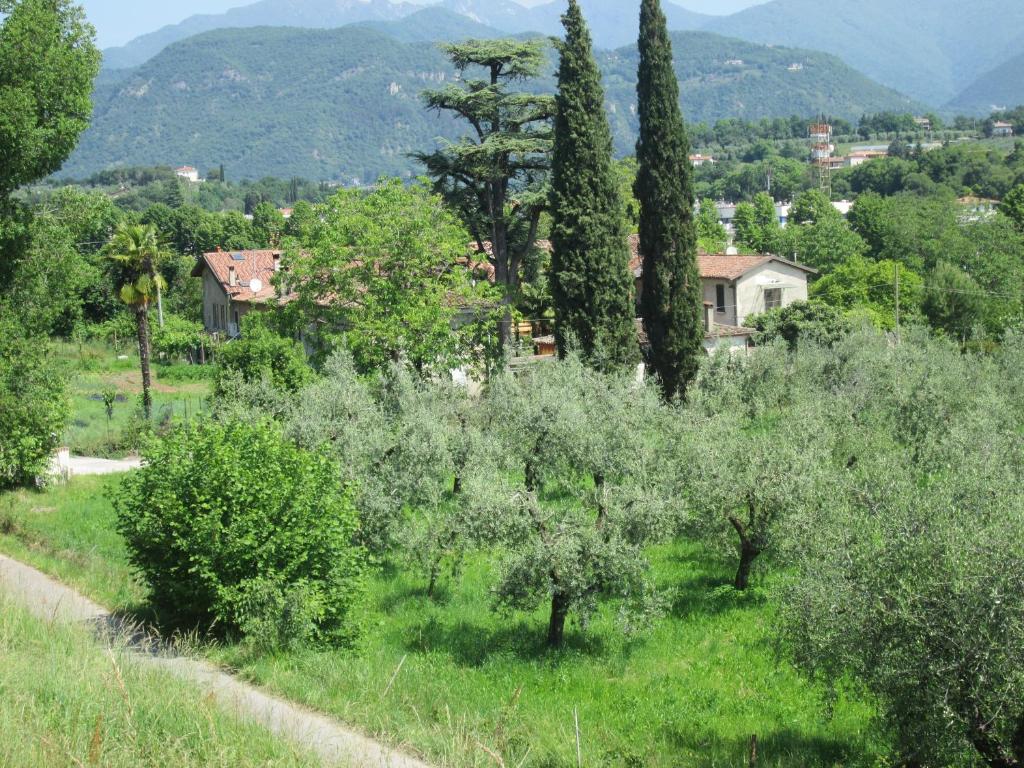 ein grünes Feld mit Bäumen und ein Haus im Hintergrund in der Unterkunft Agriturismo Bonù Gabriele in Salò
