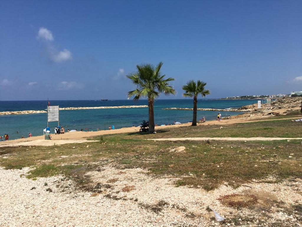 a beach with two palm trees and the ocean at Diamond Complex in Paphos City