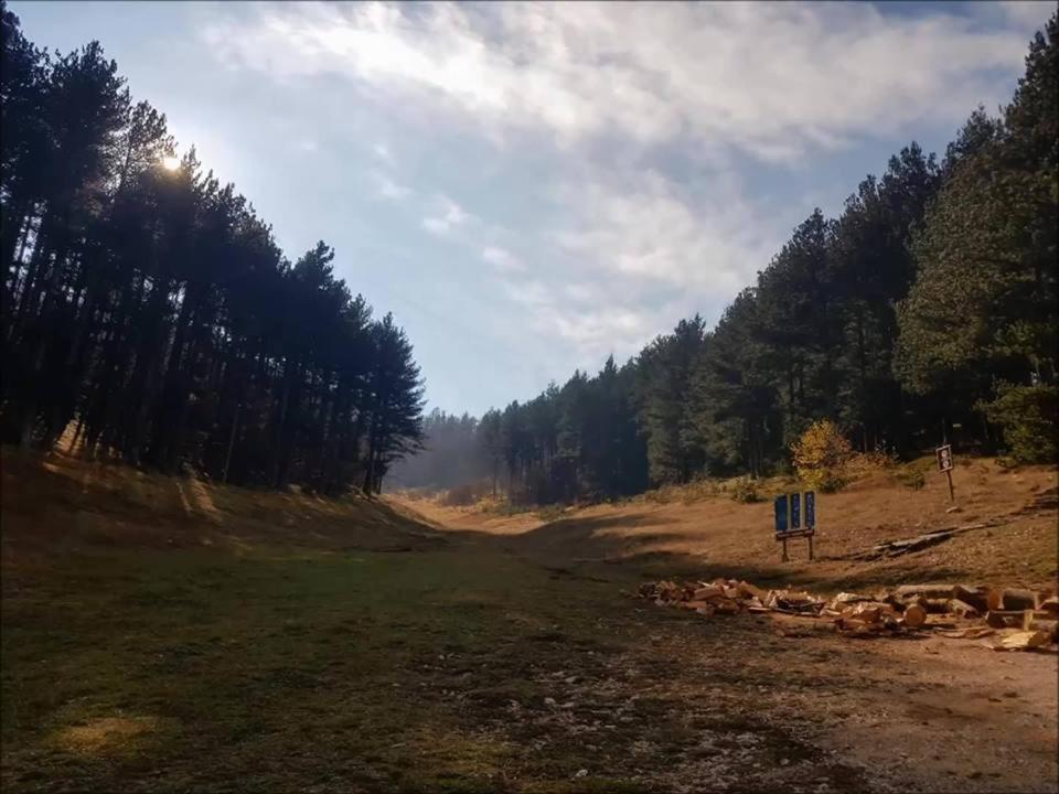 Příroda nedaleko hotelu