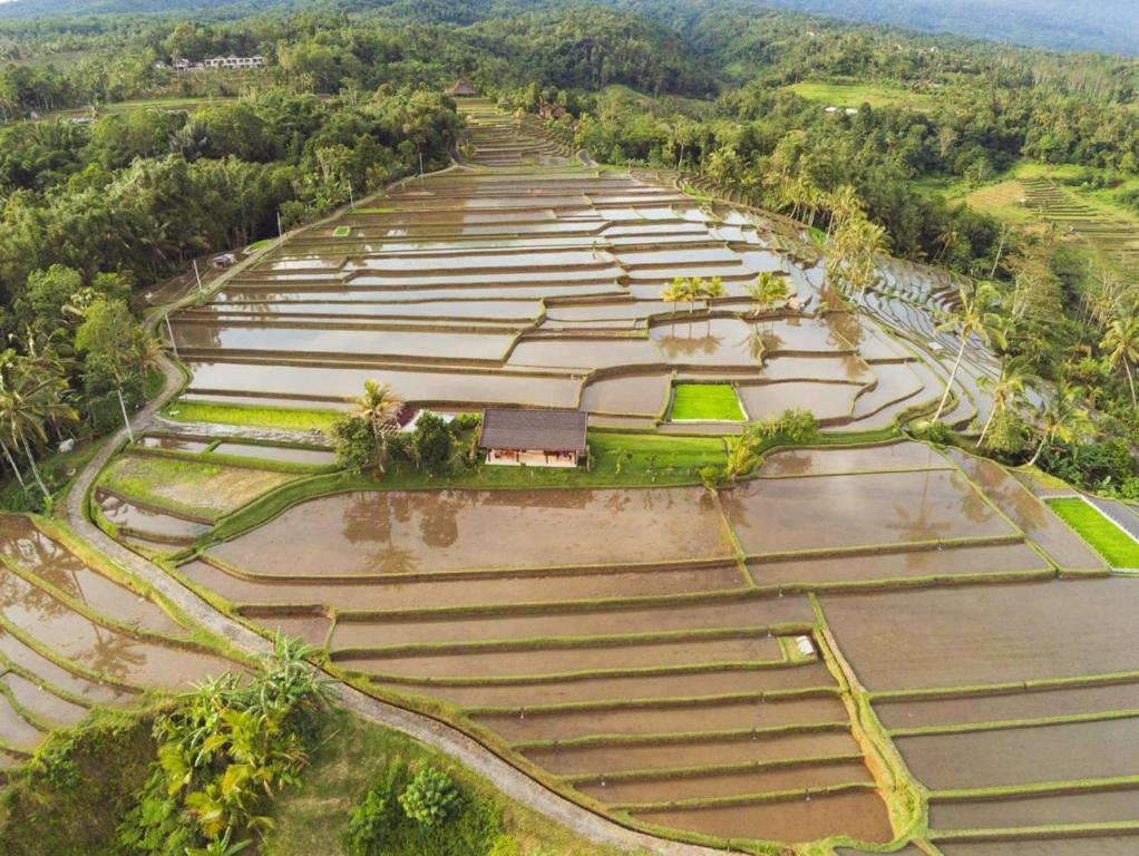 KUBU D'UME HOMESTAY - 17