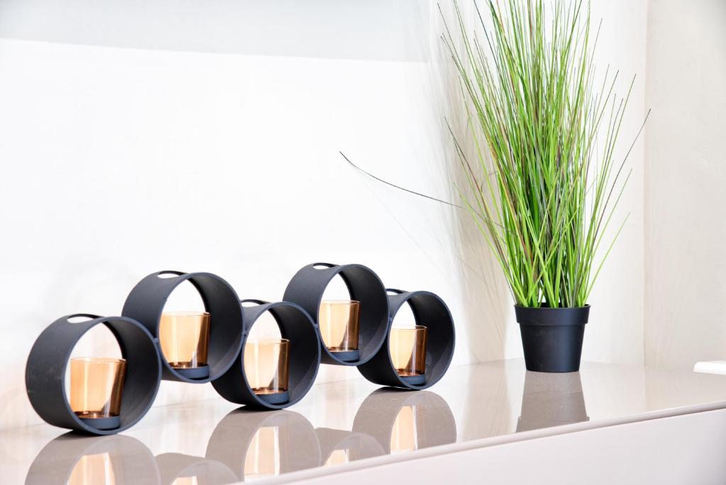 Apartamentos Cava Baja - 5