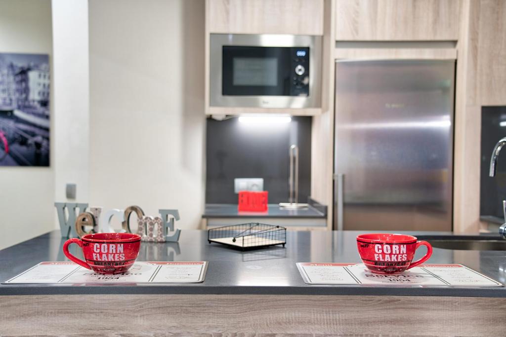 Apartamentos Cava Baja - 9