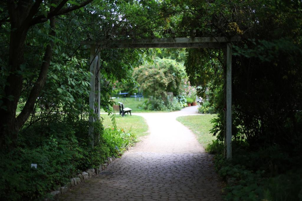 Haus Aja Textor-Goethe - Resim 22