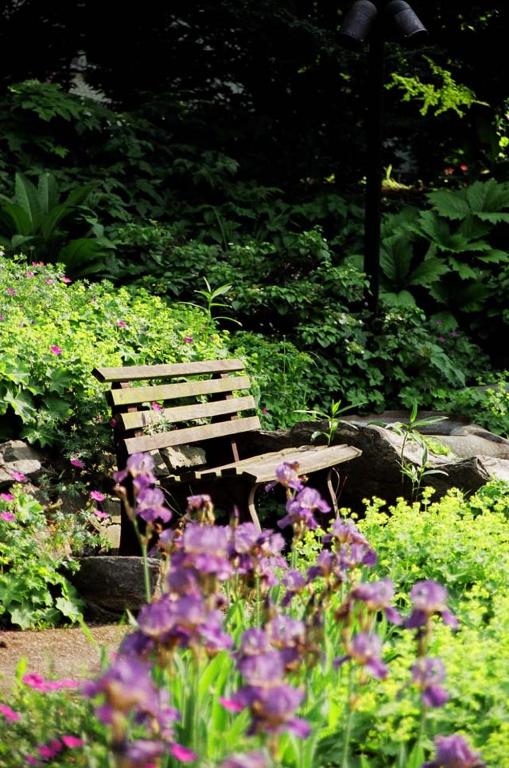 Haus Aja Textor-Goethe - Resim 24