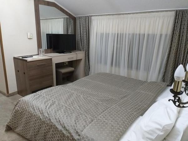 TV a/nebo společenská místnost v ubytování Spa Hotel Kleptuza