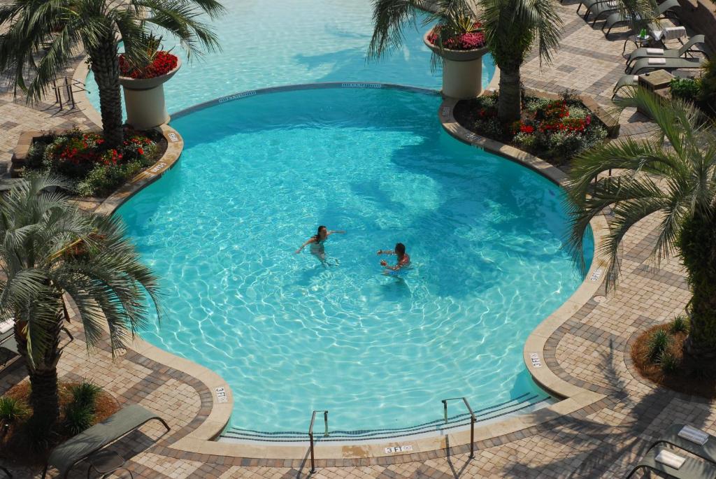 two people swimming in a large pool with palm trees at Marina Inn at Grande Dunes in Myrtle Beach