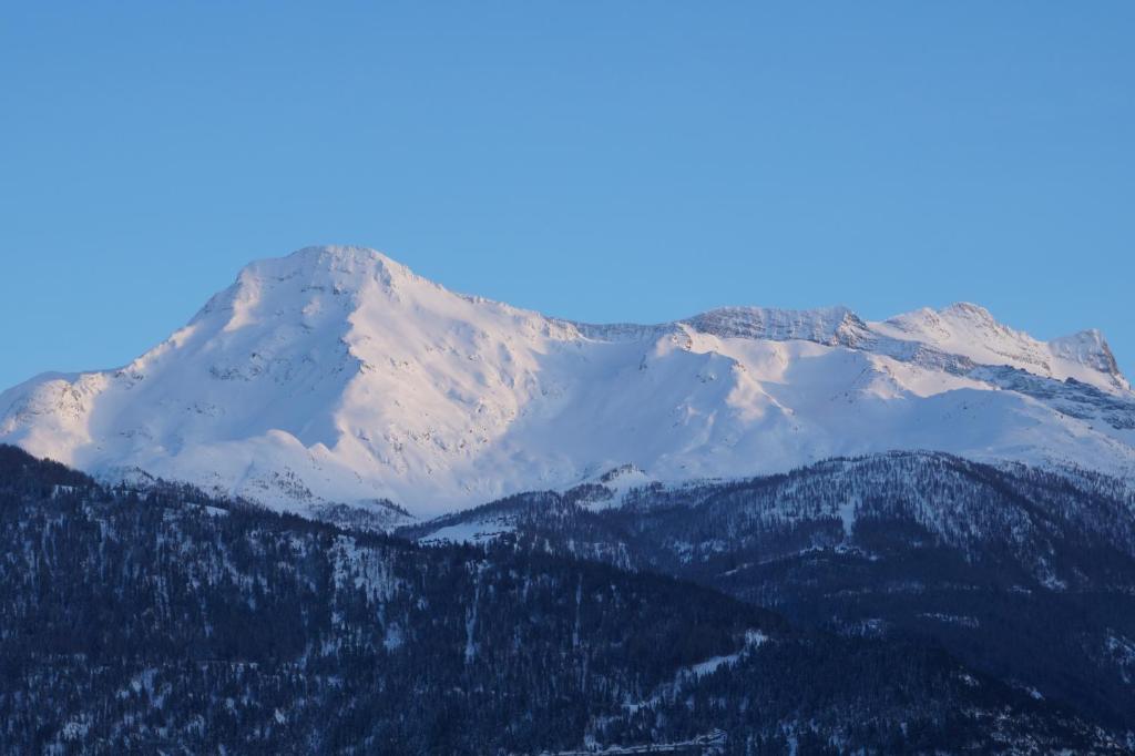 una montagna innevata con alberi in primo piano di Haya a Naters