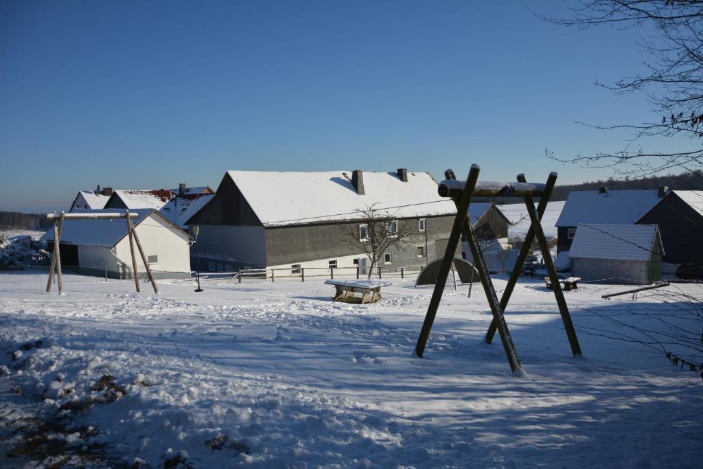 Ferienhaus Winterberg v zimě