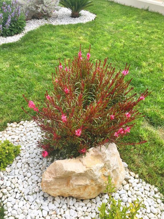 A garden outside Emozione Marina - appartamento fronte mare