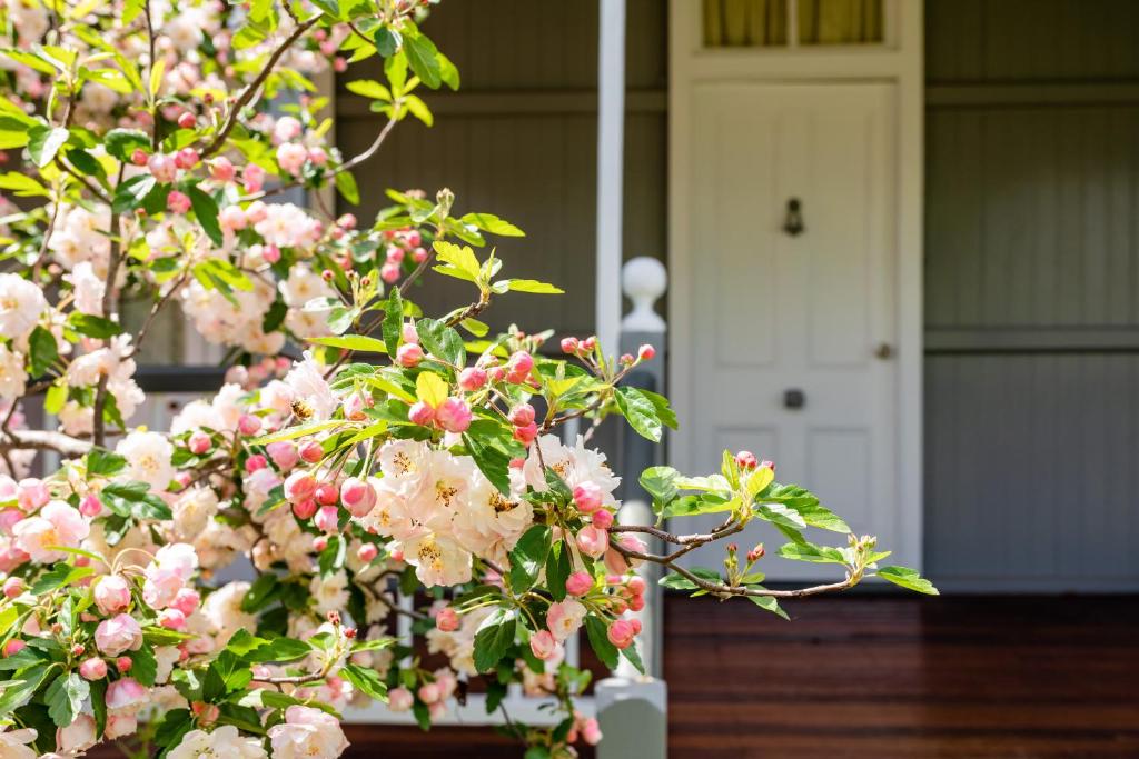 Zahrada ubytování Apple Blossom Cottages