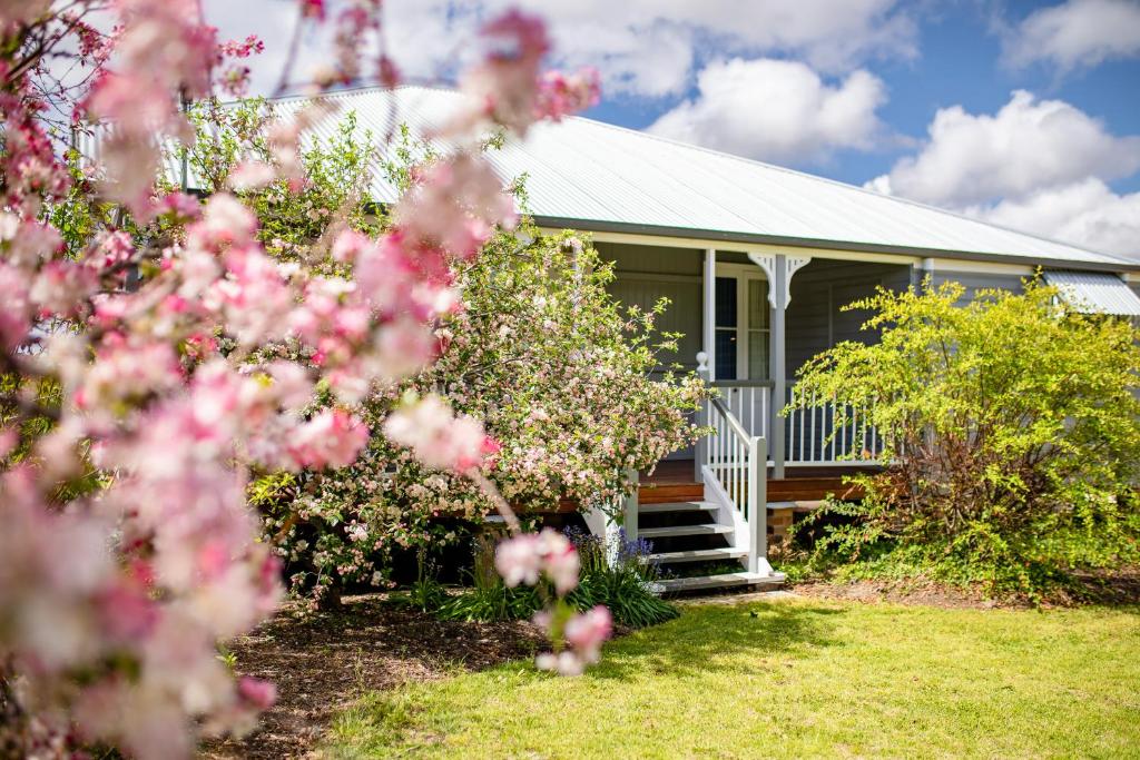 een huis met roze bloemen ervoor bij Apple Blossom Cottages in Stanthorpe