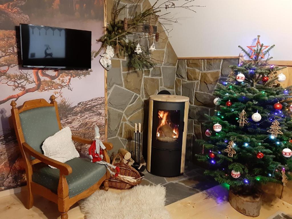 Televiisor ja/või meelelahutuskeskus majutusasutuses Domki z jacuzzi Pasja I