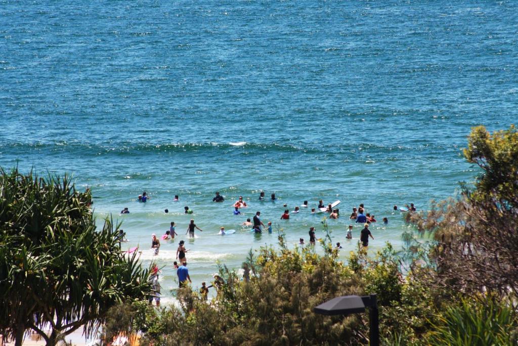 a group of people in the water at the beach at Pacific Towers Unit 4 19 Ormonde Tce Kings Beach in Caloundra