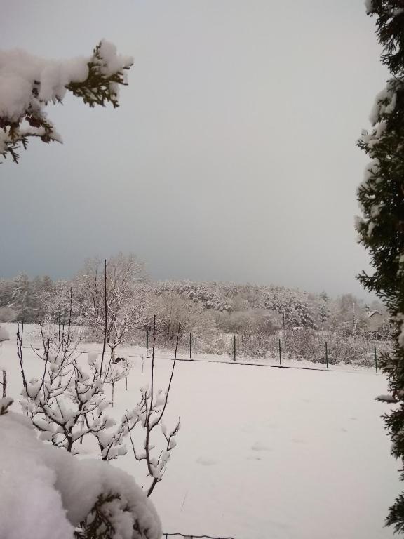 Villa Jura Pokoje Gościnne v zimě