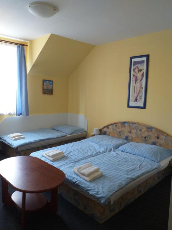 Postel nebo postele na pokoji v ubytování Vila Terezie