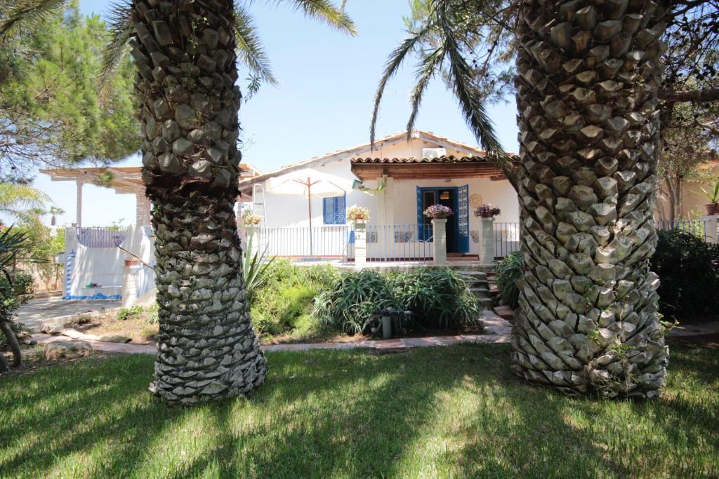 dos palmeras delante de una casa en Villa delle terrazze, en Punta Secca