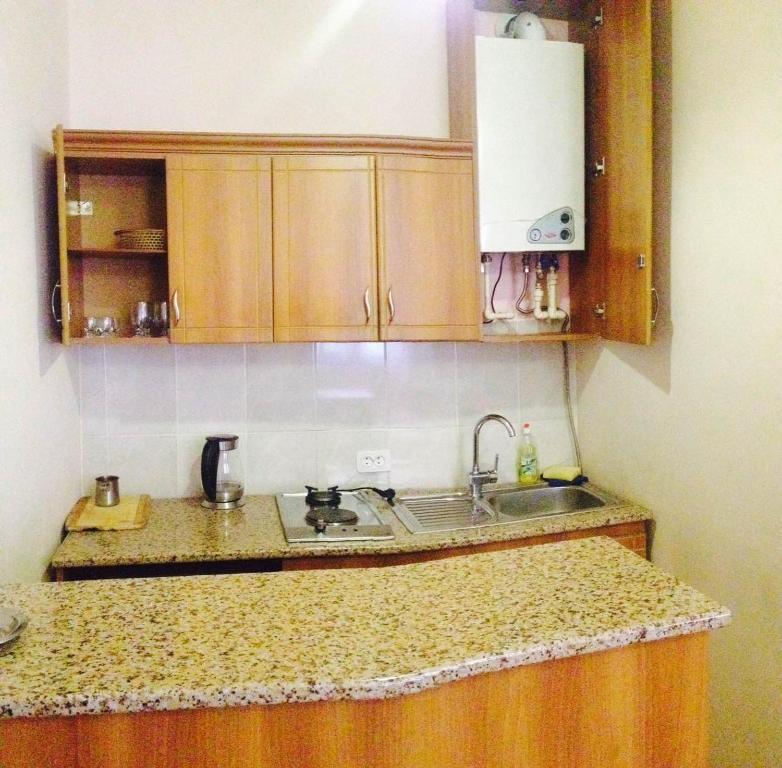 Kuchyň nebo kuchyňský kout v ubytování Valetta hotel Tsaghkadzor
